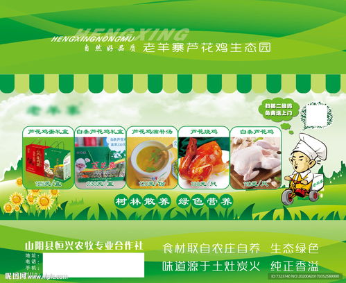绿色食品包装设计图片